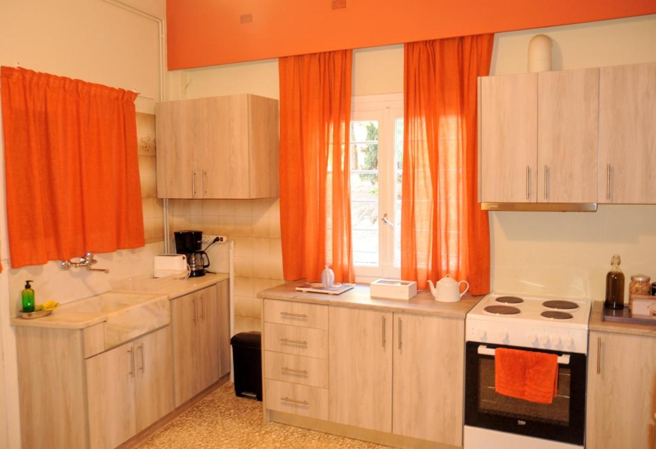 Spacious Apartment Near Acropolis With Roof Garden Ateny Zewnętrze zdjęcie